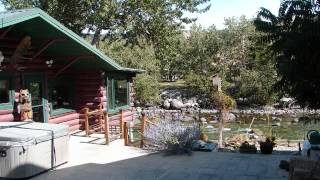 Montana Fly Fishing Cabin For Sale Trout Run.wmv