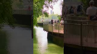 München: Auf dem Steg überm Auer Mühlbach (4K) #muenchen #auer muehlbach #kabelsteg #isar