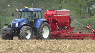 Zwischen Frucht sehen mit News Holland tvt 195 und Horsch Pronto dc 7 mit fast zu wenig ps unter