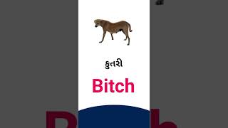 Bitch meaning in Gujarati - English dictionary