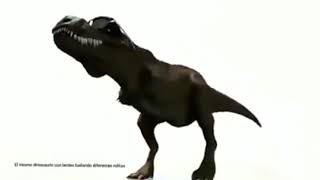 Dancing Dinosaur - Tik Tok