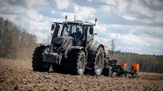 Usługowy Siew Kukurydzy na GPS'e 2021 ☆ Valtra T194 & Amazone ED 6000-2C Super ☆ AGRO Wiesniak™