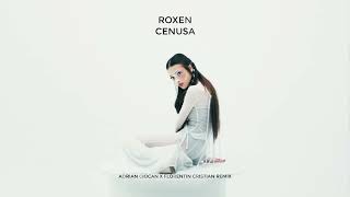 Roxen - Cenusa (Adrian Ciocan x Florentin Cristian Remix)