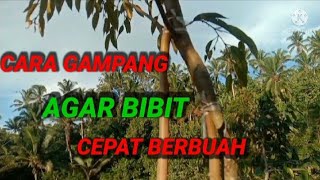 MENGEMBANGKAN VARIETAS BARU TANPA MENEBANG POHON YANG SUDAH ADA