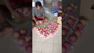 WOWW! JUAL BUAH APEL FUJI HARGA RP 450 RIBU AN IMPORTIR TIONGKOK DI BALARAJA TANGERANG!!