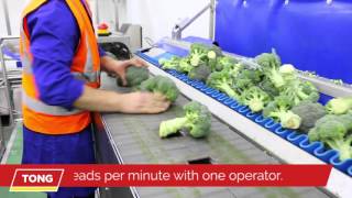 Broccoli Trimming & Cutting with Tong Broccoli Trimming Line