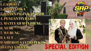 FULL ALBUM DANGDUT KOPLO | CAMELIA | ROMANTIKA BASSNYA NJEDUGG GLERR ANTEP 2024