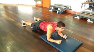 Plancha estatica - NotaFitness.COM