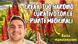 10 Piante MEDICINALI E DECORATIVE PER IL GIARDINO