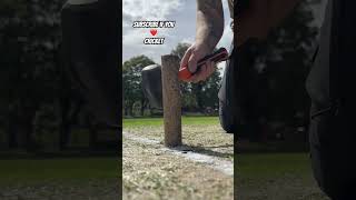 Cricket Stump ASMR #cricket #asmr #asmrsounds #india #australia #pakistan