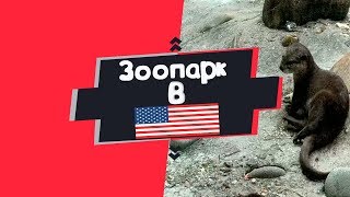 Как выглядит Зоопарк в США! Часть #2