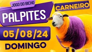 PALPITE DO DIA 05/08/2024 - JOGO DO BICHO 🍀 TODAS AS LOTERIAS 🍀