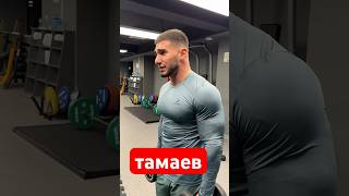 Тамаев как тамаев #ислам #islam #tamaeev #muslim #shortsmuslim #умма #shortstop #духовность #кадыров