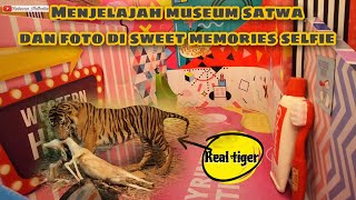 BERKUNJUNG KE SWEET MEMORIES SELFIE DAN MUSEUM SATWA JATIM PARK 2