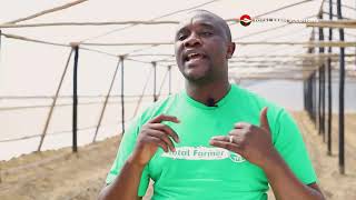 Planting Tomato Seedlings - Total Farm Solutions