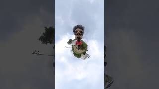 Insta360 funny video | funny short  #insta360 #funny