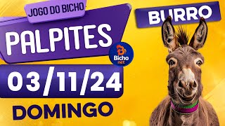 PALPITE DO DIA 03/11/2024 - JOGO DO BICHO 🍀 TODAS AS LOTERIAS 🍀