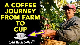 Explore Columbian Coffee From Farm To Table | Coffee Farm Tour