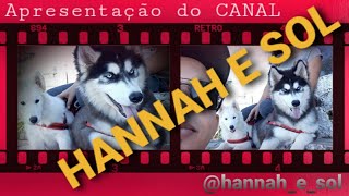 #17-APRESENTAÇÃO  do canal HANNAH E SOL (Husky Siberian)