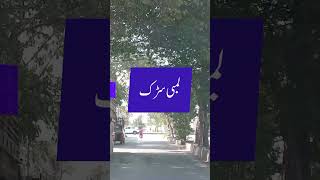 عید کا اگلا دن 《 تیرے مکھ دا دیدار 》@menmouji شاعری اور افسانوں سے اقتباسات 》