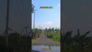 Jalan-jalan di Bali | Jembrana Bali #bali #infobali #jembranabali #jalanjalandibali