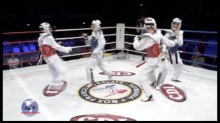 Taekwondo WTF Team Fight 2 vs 2