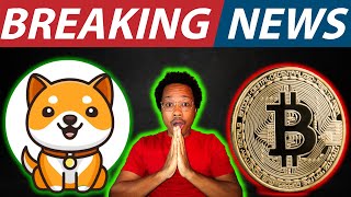 Baby Doge Coin BIG NEWS | Bitcoin PUMP INCOMING