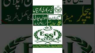 SESSI Jobs 2023مزیدj معلومات کے لیے یوٹیوب چینل پر وزٹ کریں #govtjobs #youtubeshorts #shorts