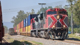 LOCOMOTORAS De Todos COLORES / 5 Trenes De FERROMEX En El Occidente Mexicano / Jalisco