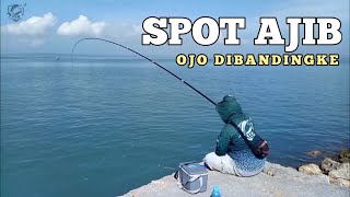 SPOT AJIB!!! Mancing Baronang dan Kiper "Ojo Dibandingke"