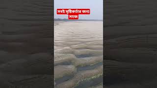 বসন্তে নদীর জলহীন অবস্থা #nature #shorts #video