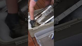 How To Clean Your Grill Like a PRO #shorts #youtubeshorts