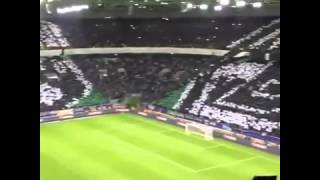 Borussia Mönchengladbach - Manchester City  30.09.2015| choreo |