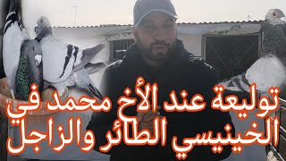 زيارة عند الأخ محمد وتوليعة فالخينيسي فويلو فالسماء والزاجل صاحب الشواهد العالية والحمام النفاخ 🕊🕊🕊🤯