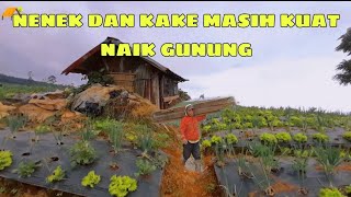 Disini Warga Pegunungan Menaiki Gunung Kondisinya Jauh Dari Desa