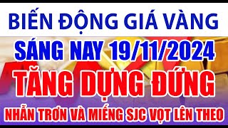 Giá vàng hôm nay 19/11/2024: tăng dựng đứng, nhẫn trơn và miếng SJC vọt lên theo