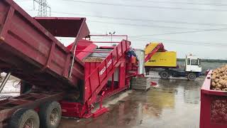 FieldLoad PRO potato, carrot and vegetable in-field cleaning & loading machine | Tong Engineering