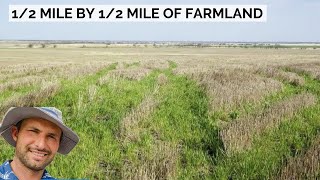 1/2 Mile by 1/2 Mile of Farm Land, Cropland, Oklahoma