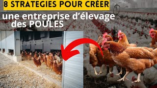 8 étapes pour créer facilement une entreprise d'élevage des poulets ?