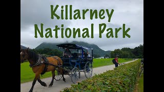 Killarney National Park Ireland | A day trip from Limerick