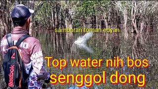 mental harus kuat //casting toman umpan top water