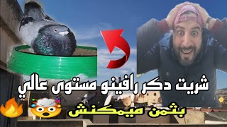 اشتريت دكر حمام الرافينو مستوى عالي بثمن ميمكنش 🤯🤯🤯