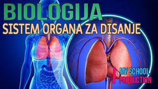 SISTEM ORGANA ZA DISANJE   Biologija Osnovnih škola