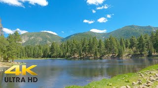 Pine Valley Mountains Utah 4K | Dixie National Forest | Pine Valley Reservoir Santa Clara River Hike