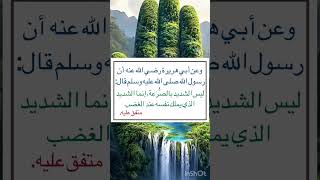 من أقوال الرسول صلى الله عليه وسلم ‏⁧‫#السنة_النبوية‬⁩  #متفق_عليه