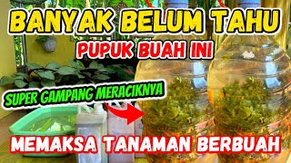 Pupuk lengkap Perangsang Bunga dan Buah || Banyak yang belum tau !! ||