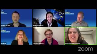 Webinar with F. Brantner and G. Delbos-Corfield from The Greens on the European HomeParliaments