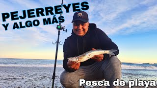 PEJERREY ESCARDÓN. Pesca de playa