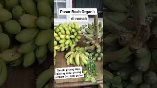 Pasar Buah Pribadi!! Semua Ada Di Sini!! #pasarbuah #kebunorganik #permakultur #pekaranganpangan