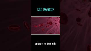 what is rh factor?|what is basically rh factor|mediline plus